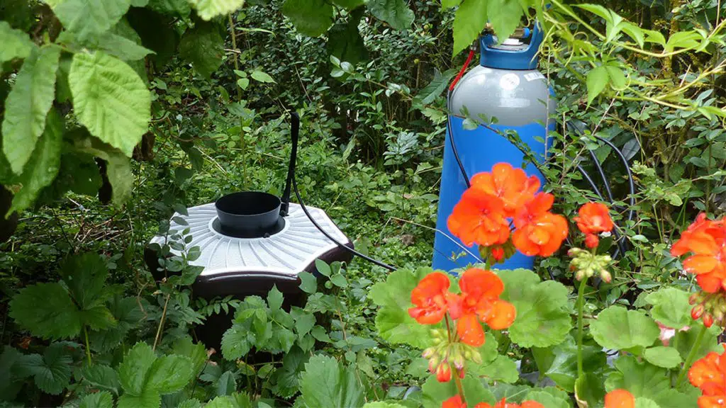 Mosquitaire CO2 et sa bouteille, en bordure du jardin