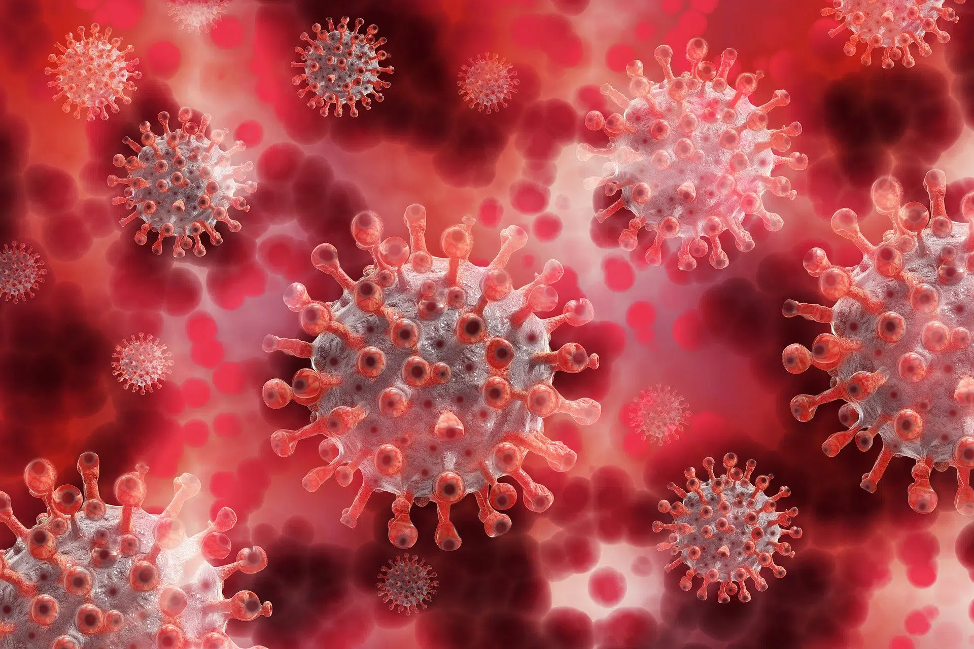 Représentation du coronavirus