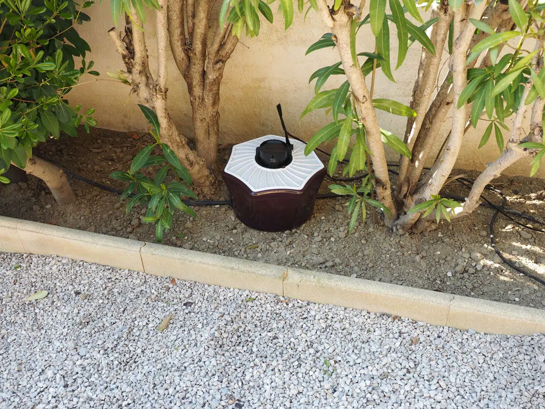 Un mosquitaire mis sous une haie
