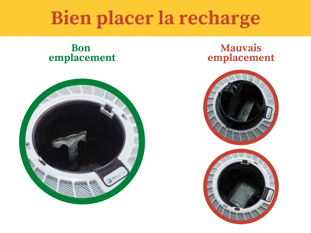 Bon emplacement Sweetscent