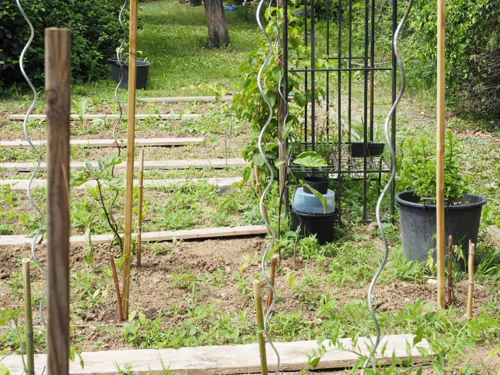Près du potager et des pots de fleurs