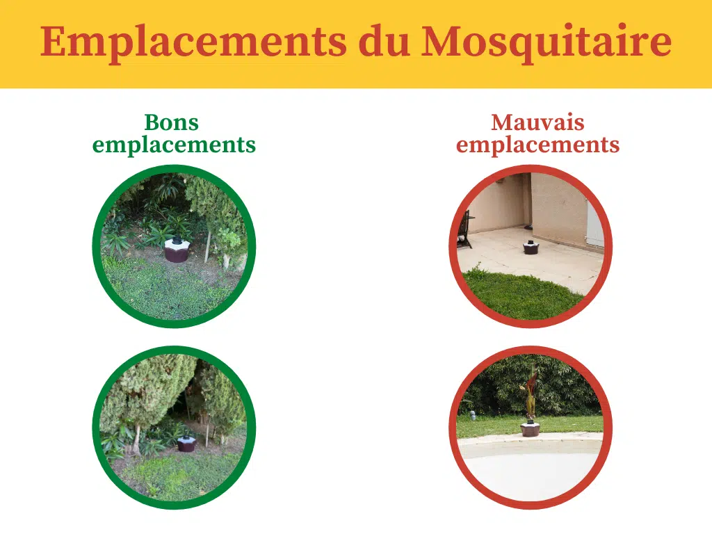 Bon emplacement du Mosquitaire
